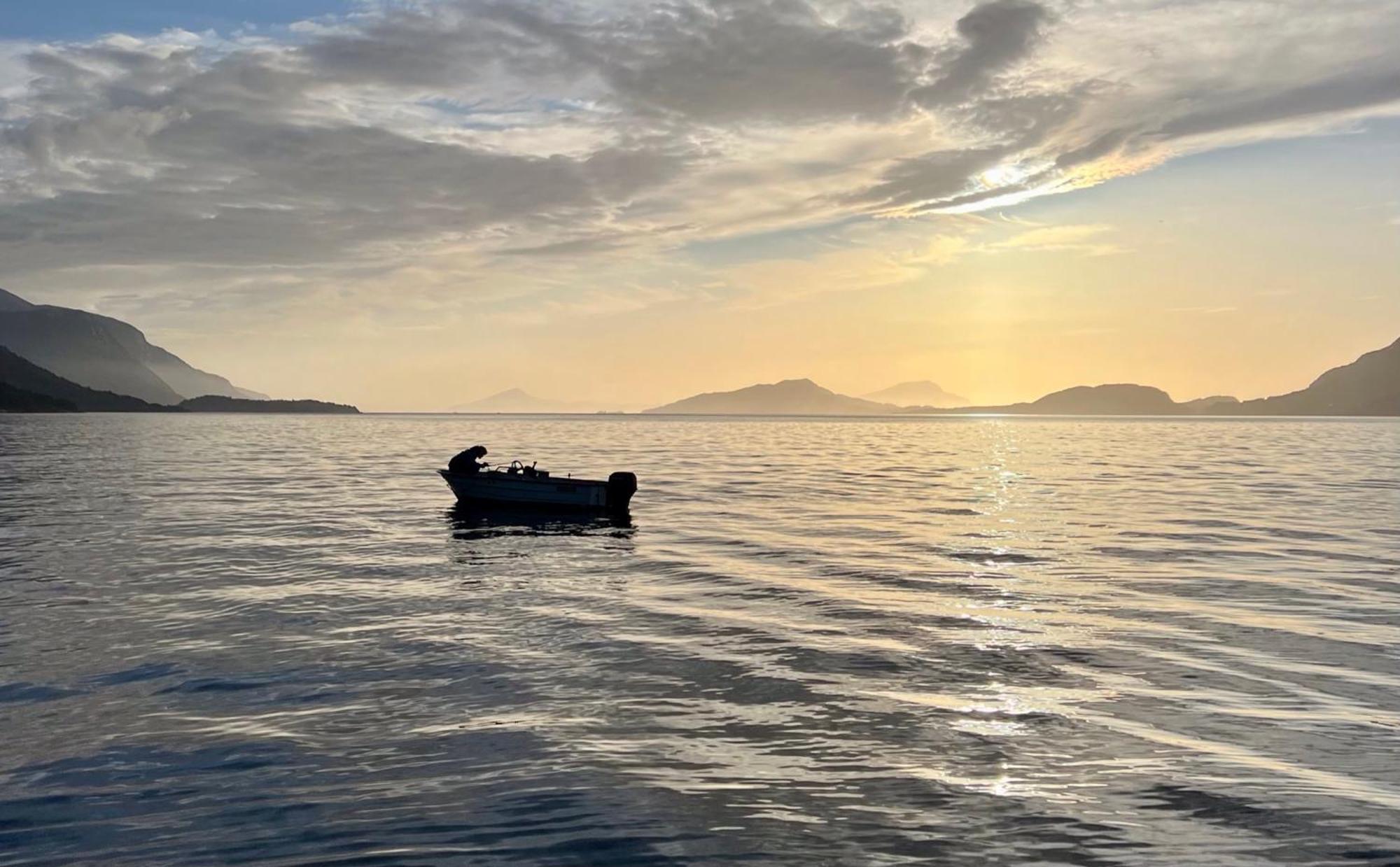 Awesome Fishing, Boating And Nature Experience At Fiskesenter Birkeland Rekdal Zewnętrze zdjęcie